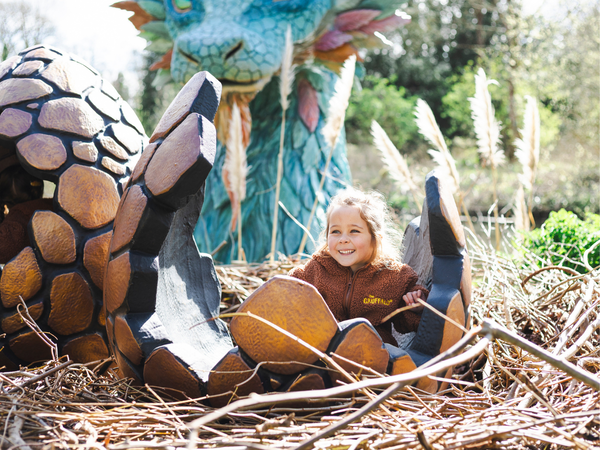 Spellbound Autumn Dragon Quest