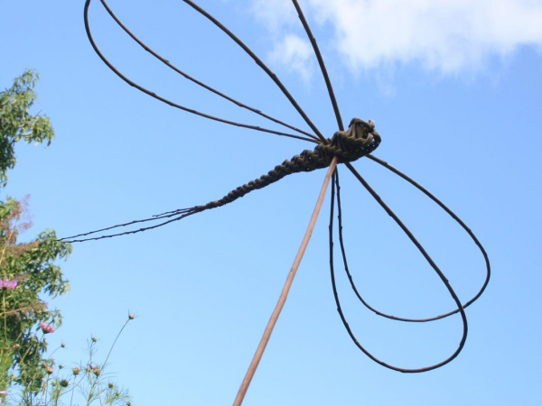 Dragonfly Willow Weaving Event, with Way of the Wild