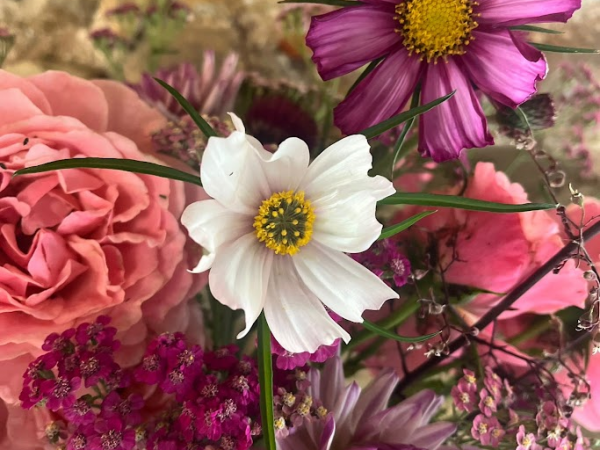 Make your own Spring Bouquet with Periwinkle