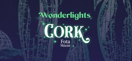 Wonderlights at Fota House