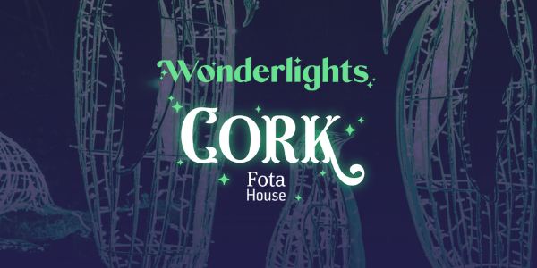 Wonderlights at Fota House