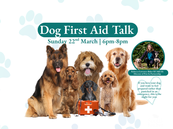 Dog First Aid Talk