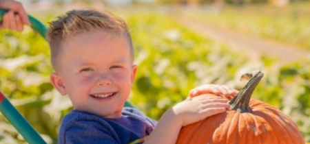 Pick Your Own Pumpkins