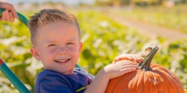 Pick Your Own Pumpkins