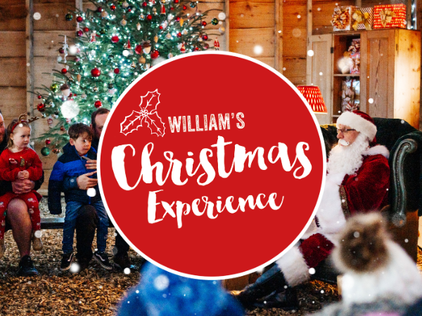 William's Christmas Experience 2026