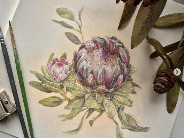 Botanical Illustrations with Katherine O'Shea