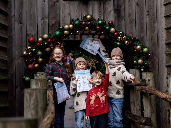 Christmas Family Explorer Ticket