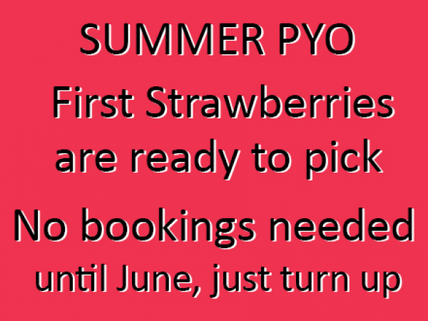.Summer Pick Your Own - check crop availability before booking)