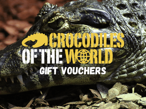 Gift Vouchers