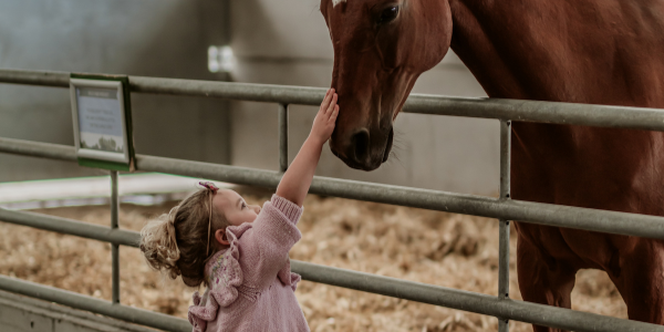 Admission to Rand Farm Park