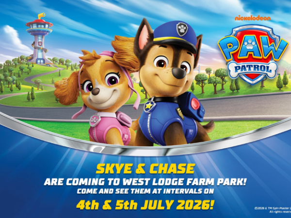 Paw Patrol July 4th/5th