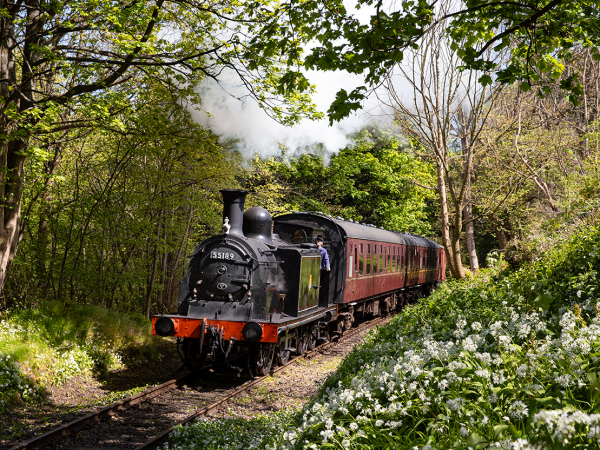 Half term steam trains at Bo'ness & Kinneil Railway