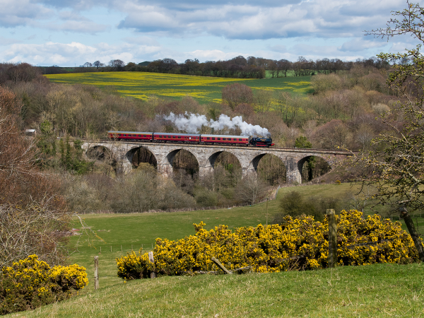 Easter Steam Trains