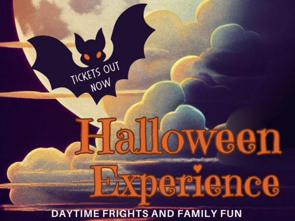 The Gwrych Castle Halloween Experience