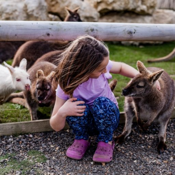 Farm Park