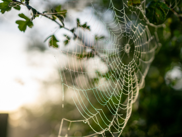 Samhain / Halloween at Ulster Folk Museum