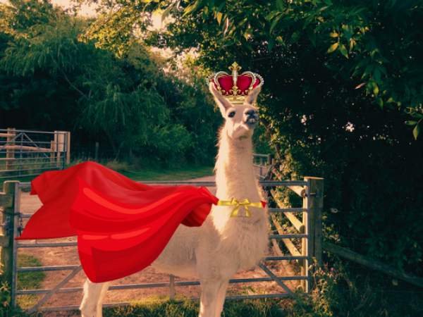 Admission 2023_7: King's Coronation - 6th to 8th May