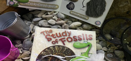 Fossil Experiences