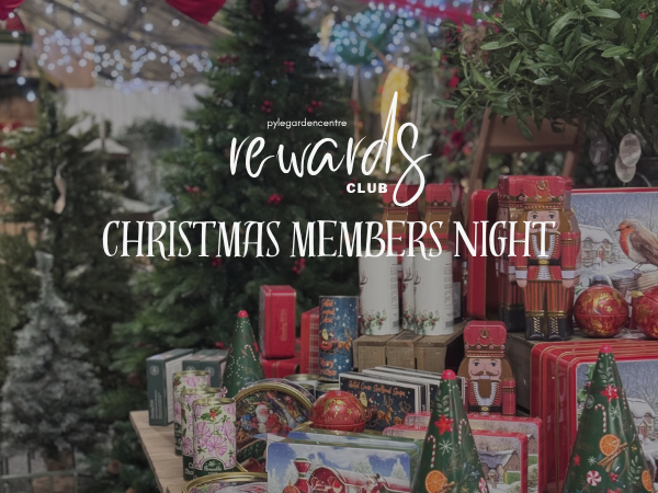 Christmas Members Night