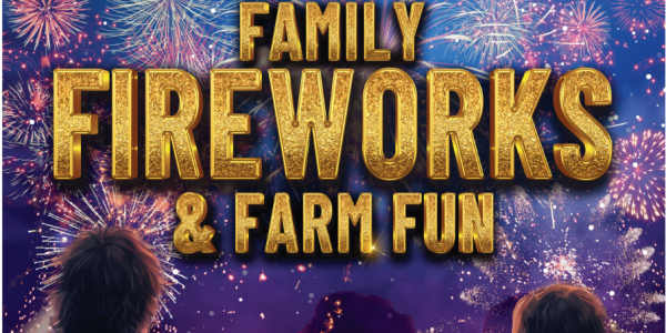 Family Fireworks