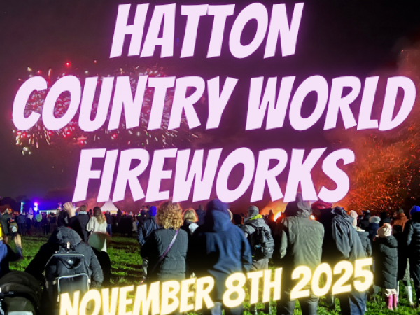 Fireworks Nov 8th 2025