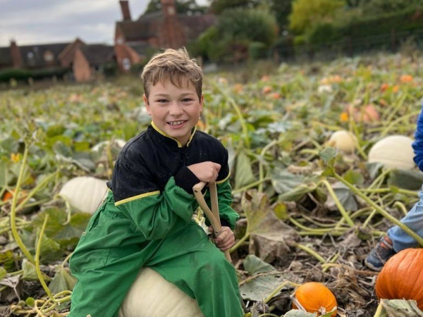 Ryman's Pumpkin Patch