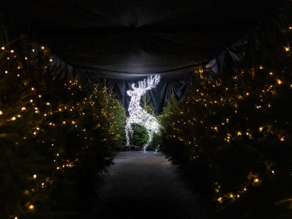 Christmas At The Estate