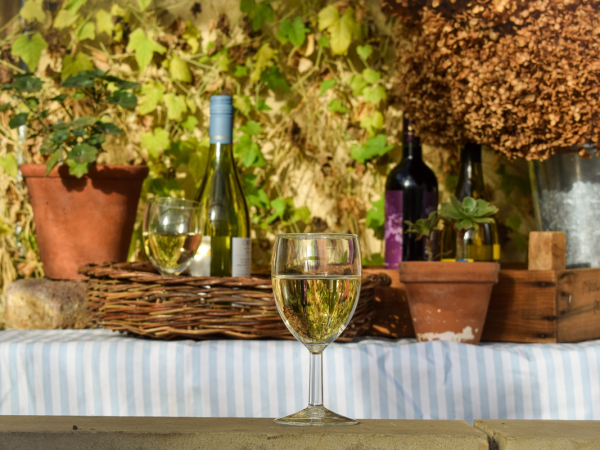 Wine tasting in the walled garden