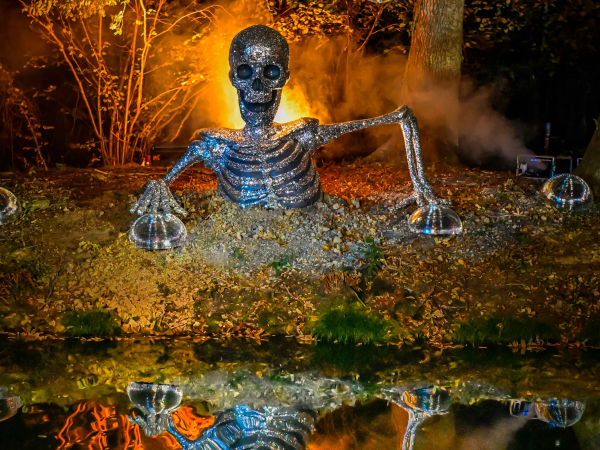 Early Bird Phase 1 - Pumpkin Nights 2026