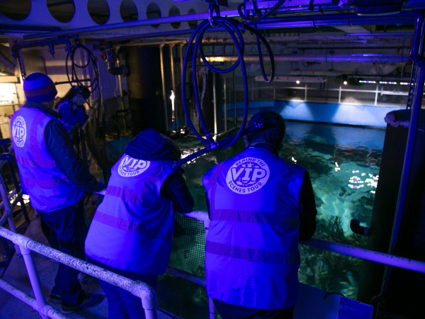 Behind the Scenes at The Aquarium Gift Vouchers