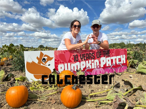The Pumpkin Patch at COLCHESTER CO6 3PT