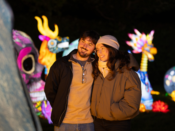 Wild Lights 2026 | Flexible Tickets