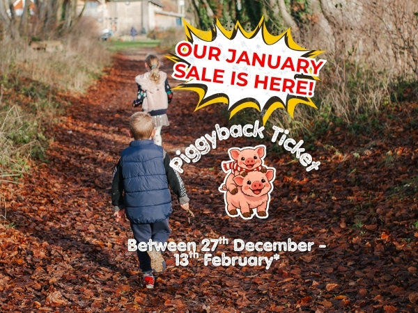 Day Admission Tickets