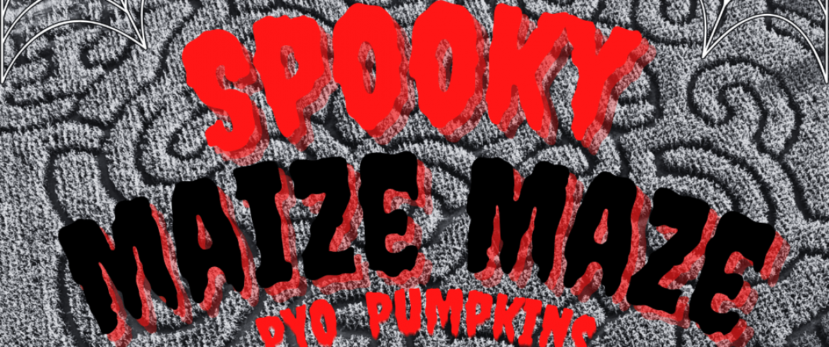 Spooky Mazie Maze
