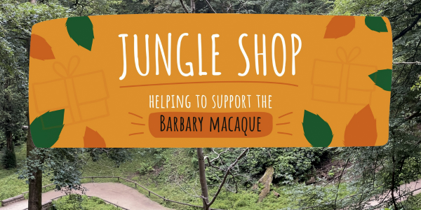 Jungle Shop