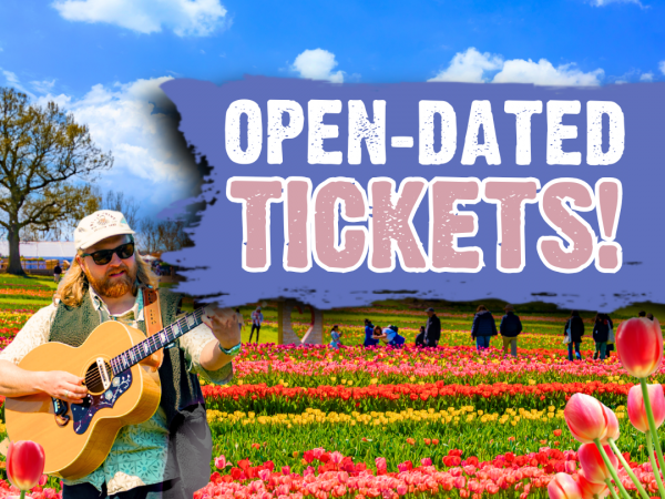 Phase 1 - Open Dated - Tulleys Tulip Garden Warwickshire 2026