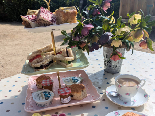 Afternoon Tea