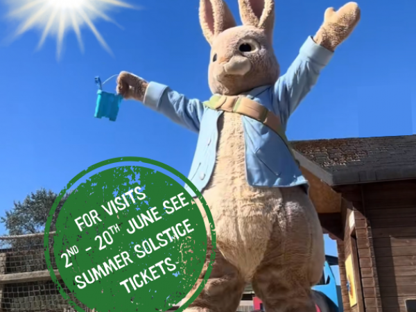 Day Tickets 2025