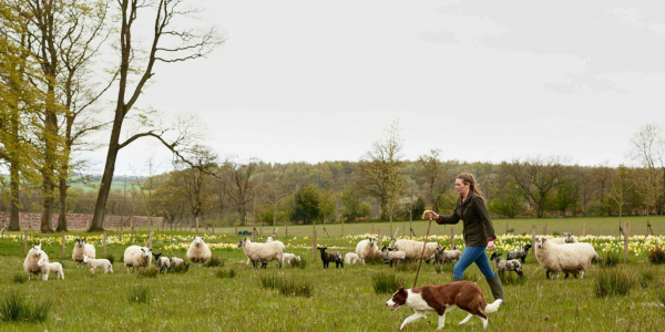 Farming and Rural Skills