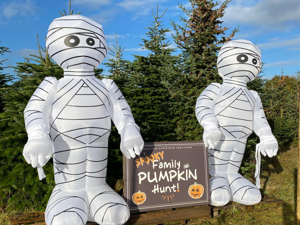 Special Educational Needs Spooky Hunt Session