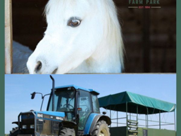 Pony & Tractor Rides
