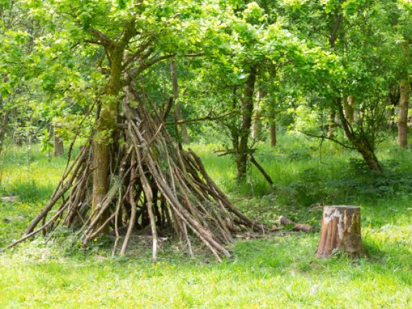 Shelter Building and Wild Pizza Experience with Way of the Wild
