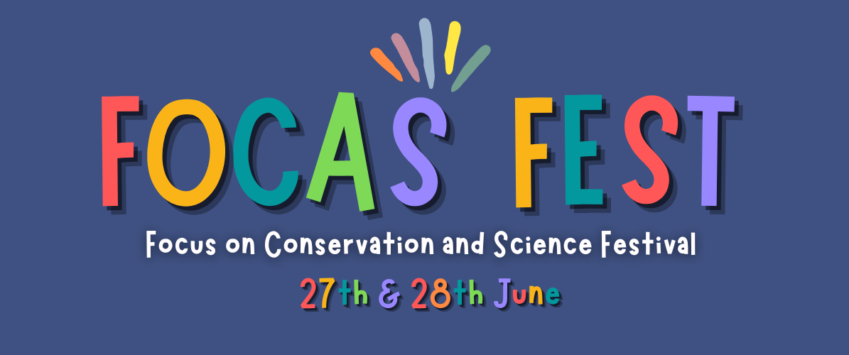 FOCAS Festival 2026