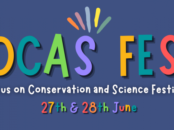 FOCAS Festival 2026