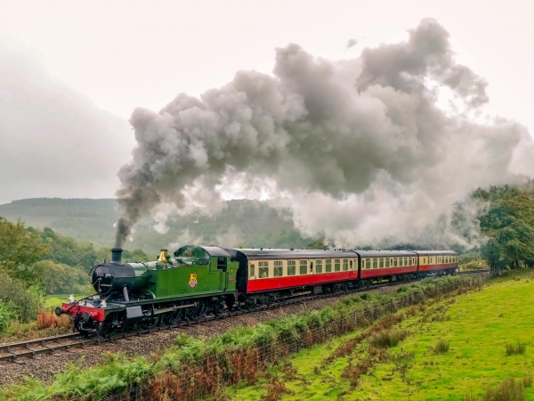 All Line Tickets February Half Term