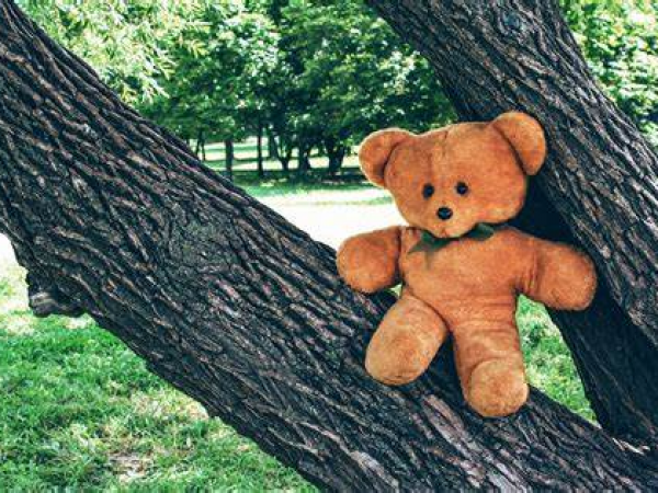 Teddy Bear Hunt
