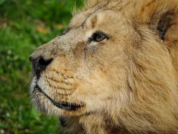 Heroes Winter Savings