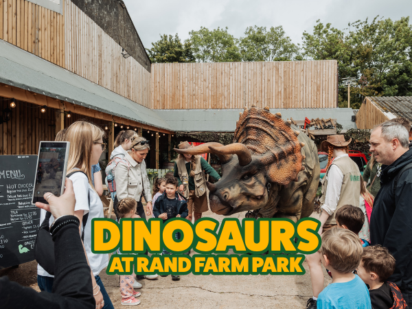 Dinosaurs at Rand Farm Park