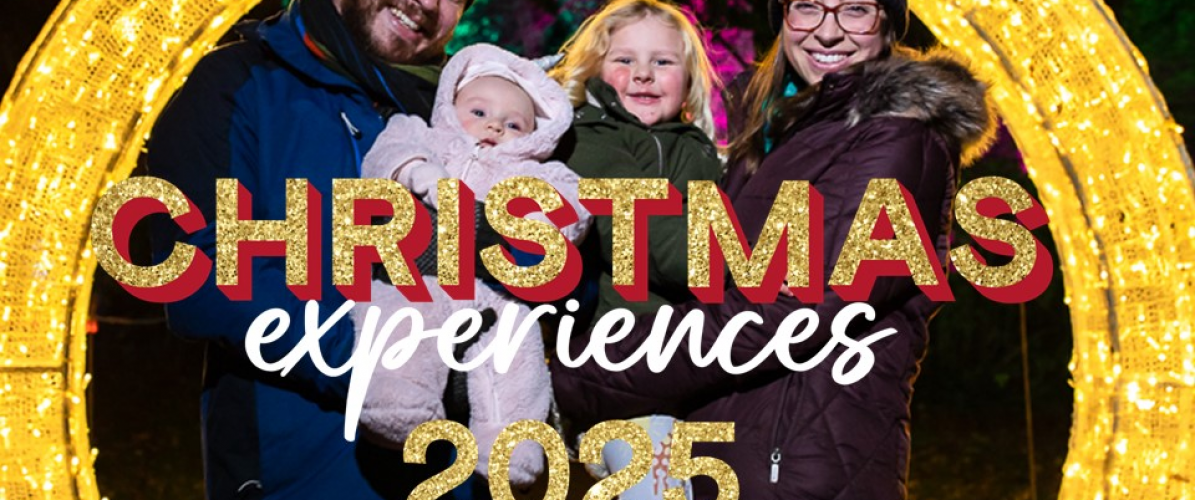 Christmas Experiences at Yorkshire Garden Centres