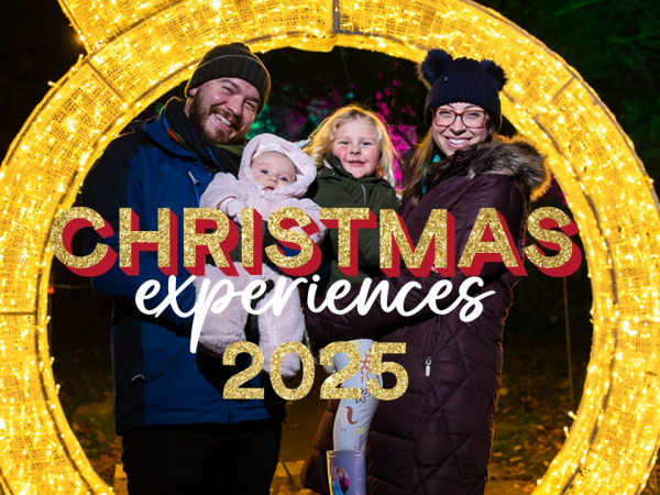 Christmas Experiences at Yorkshire Garden Centres